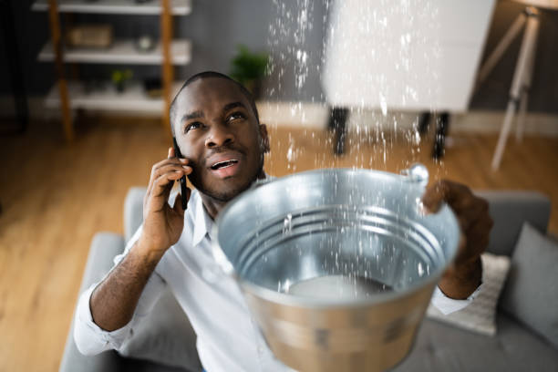 Best Sewage cleanup and water damage restoration  in Moodus, CT