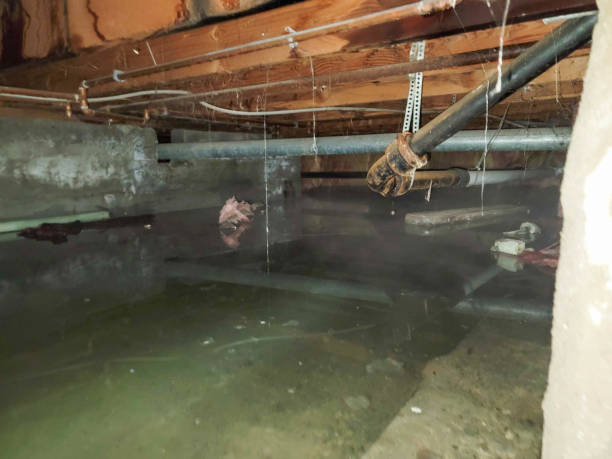Best Flooded house restoration  in Moodus, CT