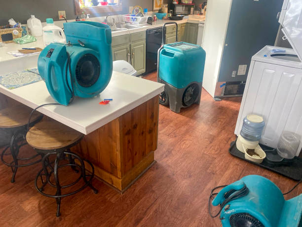 Reliable Moodus, CT Water damage restoration Solutions