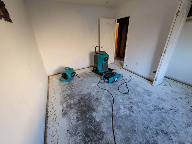 Best Flood restoration services  in Moodus, CT