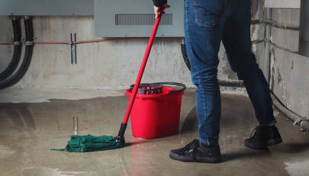  Moodus, CT Water damage restoration Pros