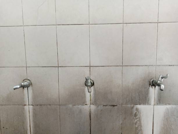 Best Water damage restoration near me  in Moodus, CT