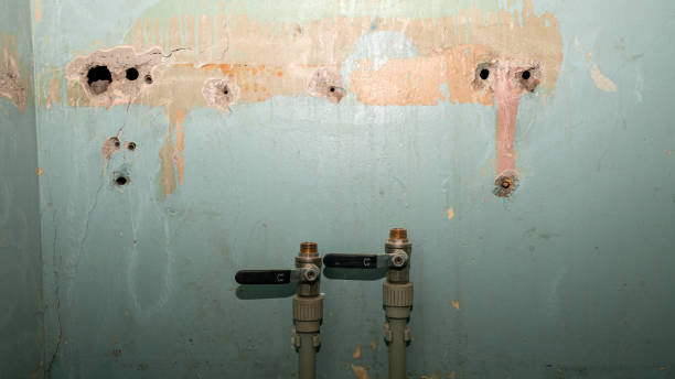 Best Professional water damage repair  in Moodus, CT